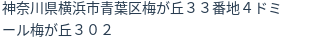 住所(登記所在地)