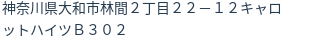 住所(登記所在地)