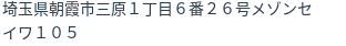住所(登記所在地)