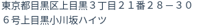 住所(登記所在地)