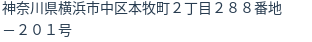 住所(登記所在地)