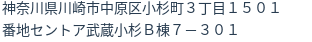 住所(登記所在地)