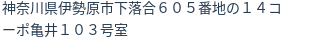 住所(登記所在地)