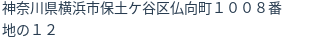 住所(登記所在地)