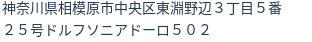 住所(登記所在地)