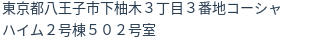 住所(登記所在地)