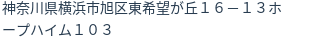 住所(登記所在地)