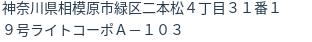 住所(登記所在地)