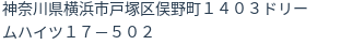 住所(登記所在地)