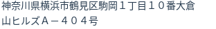 住所(登記所在地)