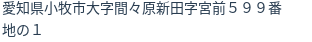 住所(登記所在地)