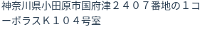 住所(登記所在地)