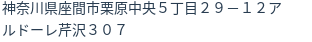 住所(登記所在地)