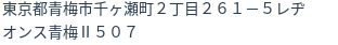 住所(登記所在地)