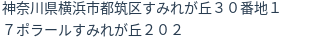 住所(登記所在地)