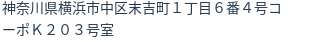 住所(登記所在地)