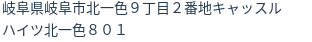 住所(登記所在地)