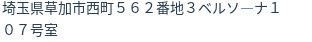 住所(登記所在地)