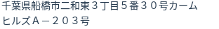 住所(登記所在地)