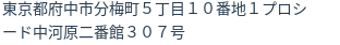 住所(登記所在地)