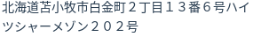 住所(登記所在地)