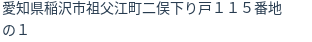 住所(登記所在地)