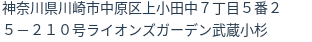 住所（登記所在地）