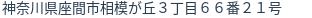 住所(登記所在地)