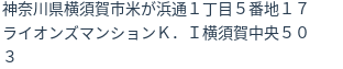 住所(登記所在地)