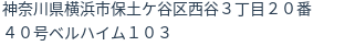 住所(登記所在地)