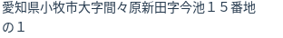 住所(登記所在地)