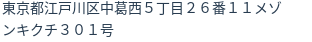 住所(登記所在地)