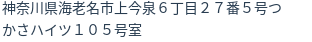 住所(登記所在地)