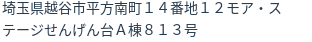 住所(登記所在地)