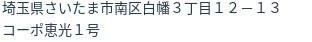 住所(登記所在地)