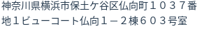 住所（登記所在地）