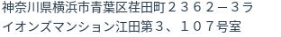 住所(登記所在地)