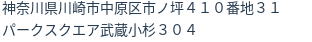 住所(登記所在地)