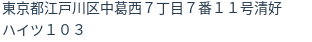 住所(登記所在地)