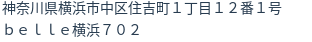 住所(登記所在地)