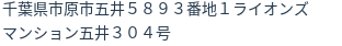 住所(登記所在地)