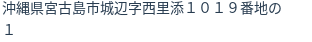 住所(登記所在地)