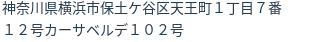 住所(登記所在地)
