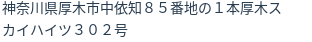 住所(登記所在地)