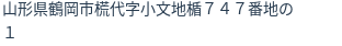 住所(登記所在地)