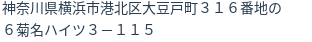住所(登記所在地)