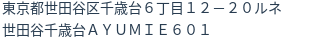 住所(登記所在地)