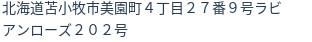 住所(登記所在地)