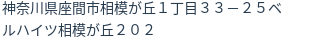 住所（登記所在地）