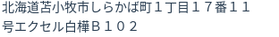 住所(登記所在地)